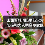 山西晋城消防举行火灾防控和火灾调查专家组成立暨聘任仪式(图2) 山西晋城消防举行火灾防控和火灾调查专家组成立暨聘任仪式(图2)