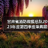 甘肃省消防救援总队2023年度第四季度采购项目技术需求征求意见公告(图1) 甘肃省消防救援总队2023年度第四季度采购项目技术需求征求意见公告(图1)