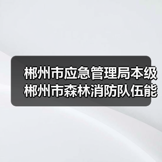 郴州市应急管理局本级郴州市森林消防队伍能力建设项目(队伍专用车辆采购)项目公开招标公告更正公告(图4) 郴州市应急管理局本级郴州市森林消防队伍能力建设项目(队伍专用车辆采购)项目公开招标公告更正公告(图4)