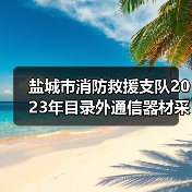 盐城市消防救援支队2023年目录外通信器材采购项目公开招标公告(图4) 盐城市消防救援支队2023年目录外通信器材采购项目公开招标公告(图4)