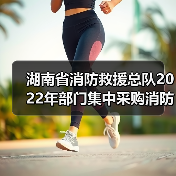 湖南省消防救援总队2022年部门集中采购消防车辆项目-战勤保障和其他类(第二批)包13(第二次)公开招标公告(图2) 湖南省消防救援总队2022年部门集中采购消防车辆项目-战勤保障和其他类(第二批)包13(第二次)公开招标公告(图2)