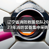 辽宁省消防救援总队2023年消防装备集中采购项目十一(特种防护装备二)公开招标公告(图2) 辽宁省消防救援总队2023年消防装备集中采购项目十一(特种防护装备二)公开招标公告(图2)