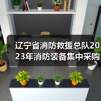 辽宁省消防救援总队2023年消防装备集中采购项目十(特种防护装备一)公开招标公告(图4) 辽宁省消防救援总队2023年消防装备集中采购项目十(特种防护装备一)公开招标公告(图4)
