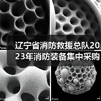 辽宁省消防救援总队2023年消防装备集中采购项目十二(抢险救援器材一)公开招标公告(图4) 辽宁省消防救援总队2023年消防装备集中采购项目十二(抢险救援器材一)公开招标公告(图4)