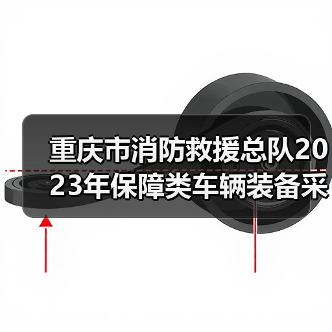 重庆市消防救援总队2023年保障类车辆装备采购(第二批)公开招标公告(图3) 重庆市消防救援总队2023年保障类车辆装备采购(第二批)公开招标公告(图3)