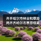 齐齐哈尔市林业和草原局齐齐哈尔市草原极高火险区建设项目消防水车等采购竞争性磋商公告(图2) 齐齐哈尔市林业和草原局齐齐哈尔市草原极高火险区建设项目消防水车等采购竞争性磋商公告(图2)
