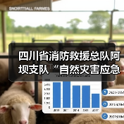 四川省消防救援总队阿坝支队“自然灾害应急能力提升工程”装备配备项目需求调查(图3) 四川省消防救援总队阿坝支队“自然灾害应急能力提升工程”装备配备项目需求调查(图3)
