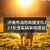 济南市消防救援支队2023年度车辆采购项目公开招标公告(图1) 济南市消防救援支队2023年度车辆采购项目公开招标公告(图1)