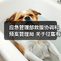 应急管理部救援协调和预案管理局 关于征集有关研究课题承担单位的公告(图4) 应急管理部救援协调和预案管理局 关于征集有关研究课题承担单位的公告(图4)
