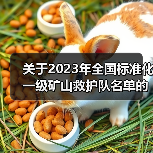 关于2023年全国标准化一级矿山救护队名单的公告(图3) 关于2023年全国标准化一级矿山救护队名单的公告(图3)