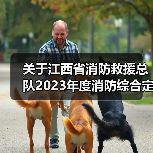 关于江西省消防救援总队2023年度消防综合定位装置采购项目(项目编号:JXTC2023040650)公开招标公告(图1) 关于江西省消防救援总队2023年度消防综合定位装置采购项目(项目编号:JXTC2023040650)公开招标公告(图1)