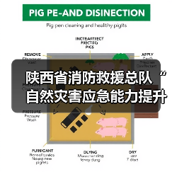 陕西省消防救援总队“自然灾害应急能力提升工程”装备配备项目(车辆类第九批次)公开招标公告(图3) 陕西省消防救援总队“自然灾害应急能力提升工程”装备配备项目(车辆类第九批次)公开招标公告(图3)