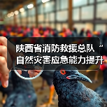 陕西省消防救援总队“自然灾害应急能力提升工程”装备配备项目(破拆类第二批次)公开招标公告(图1) 陕西省消防救援总队“自然灾害应急能力提升工程”装备配备项目(破拆类第二批次)公开招标公告(图1)