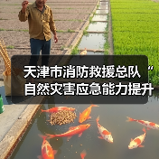 天津市消防救援总队“自然灾害应急能力提升工程”装备配备项目需求调查其他(图3) 天津市消防救援总队“自然灾害应急能力提升工程”装备配备项目需求调查其他(图3)