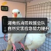 湖南省消防救援总队“自然灾害应急能力提升工程”消防装备建设项目技术参数征求意见公告(图1) 湖南省消防救援总队“自然灾害应急能力提升工程”消防装备建设项目技术参数征求意见公告(图1)