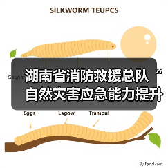 湖南省消防救援总队“自然灾害应急能力提升工程”消防装备建设项目技术参数征求意见公告(图4) 湖南省消防救援总队“自然灾害应急能力提升工程”消防装备建设项目技术参数征求意见公告(图4)