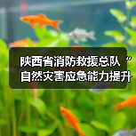 陕西省消防救援总队“自然灾害应急能力提升工程”装备配备项目(洗消类第一批次)公开招标公告(图1) 陕西省消防救援总队“自然灾害应急能力提升工程”装备配备项目(洗消类第一批次)公开招标公告(图1)
