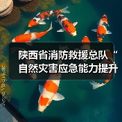 陕西省消防救援总队“自然灾害应急能力提升工程”装备配备项目(洗消类第一批次)公开招标公告(图3) 陕西省消防救援总队“自然灾害应急能力提升工程”装备配备项目(洗消类第一批次)公开招标公告(图3)