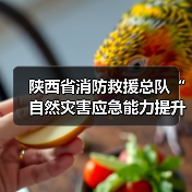 陕西省消防救援总队“自然灾害应急能力提升工程”装备配备项目（侦检类第一批次）公开招标公告（图3）
