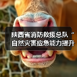 陕西省消防救援总队“自然灾害应急能力提升工程”装备配备项目(救生类第一批次)公开招标公告(图1) 陕西省消防救援总队“自然灾害应急能力提升工程”装备配备项目(救生类第一批次)公开招标公告(图1)